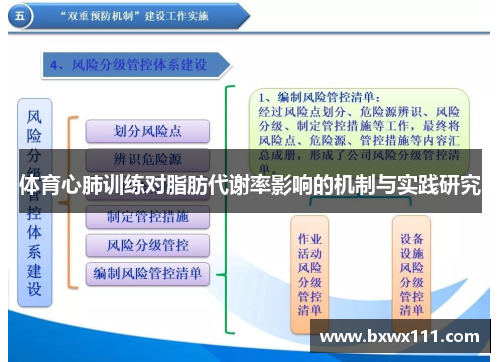 体育心肺训练对脂肪代谢率影响的机制与实践研究
